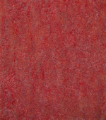 roter farbraum, 130 x 110 x 5 cm, mischtechnik auf molino, 2016
